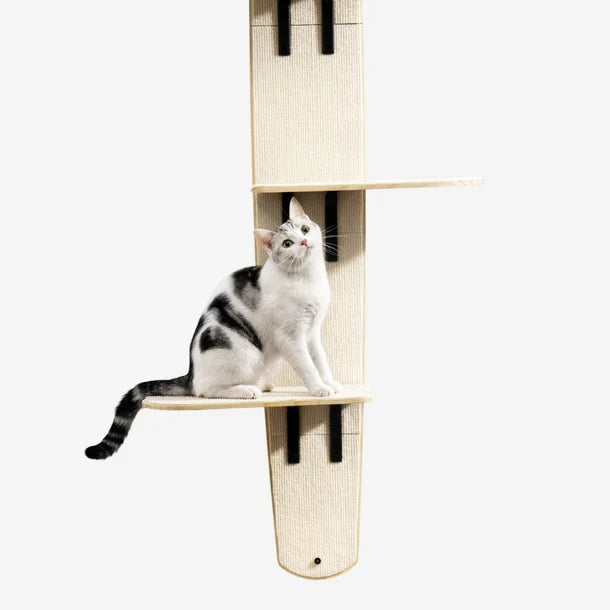 Mewoofun 4-Platform Wooden Door-Hanging Cat Tree