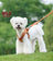 MUJI Pet Leash – 1.8m