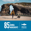 ORIJEN Six Fish Grain-Free Dry Dog Food