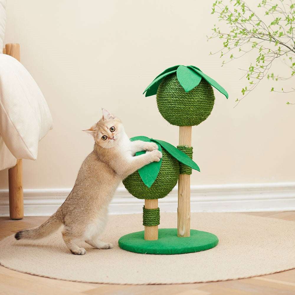 Petsbelle Bliss Solid Wood Cat Tree - ChokyoPetStore