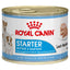Royal Canin Starter Mousse Wet Dog Food 12×195g