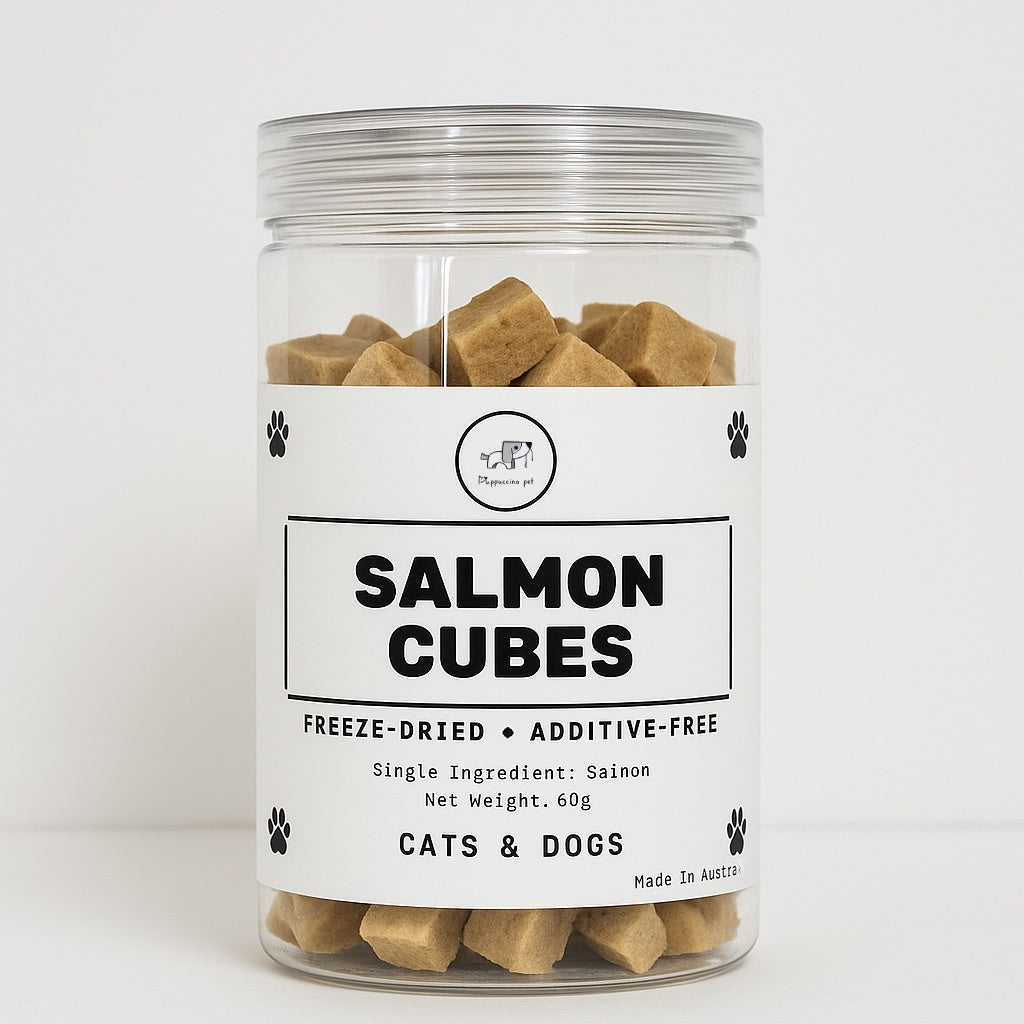 Salmon Cubes – Freeze-Dried Single Ingredient Treats for Cats & Dogs | Made in Australia | DAYTREAT - ChokyoPetStore