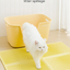 Mango Litter Mat [2026 Linking Design]