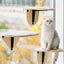 MewooFun Glass Wall DIY Cat Tree - ChokyoPetStore