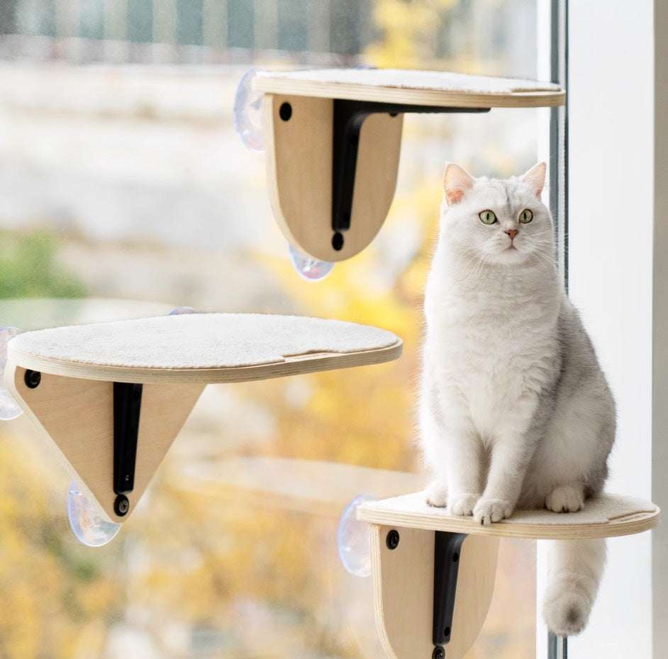MewooFun Glass Wall DIY Cat Tree - ChokyoPetStore