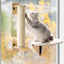 MewooFun Glass Wall DIY Cat Tree - ChokyoPetStore