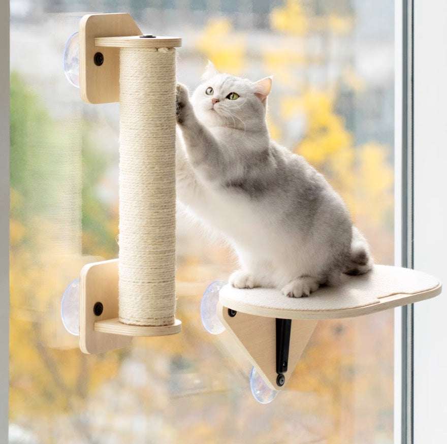 MewooFun Glass Wall DIY Cat Tree - ChokyoPetStore