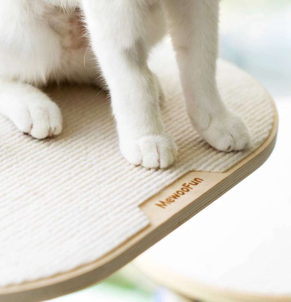 MewooFun Glass Wall DIY Cat Tree - ChokyoPetStore