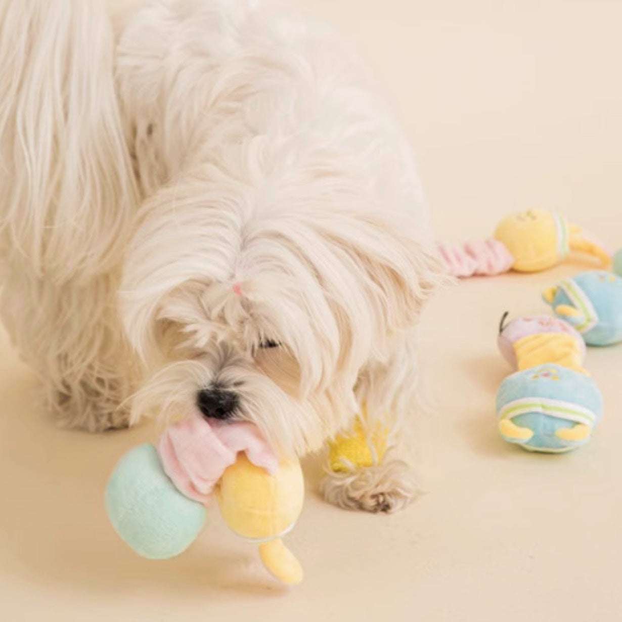 Bite Me Pet Macaron Rabbit Bear Elastic Tug of War Sound Plush Toy - ChokyoPetStore