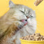 JinGu Little Yellow Bag Main Food Freeze-Dried Raw Meat Cat-Specific 285g - ChokyoPetStore