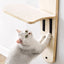 MewooFun Hanging Cat Tree