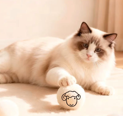 Cat toy wool ball Cat's Self Pleasure and Relaxation Tool