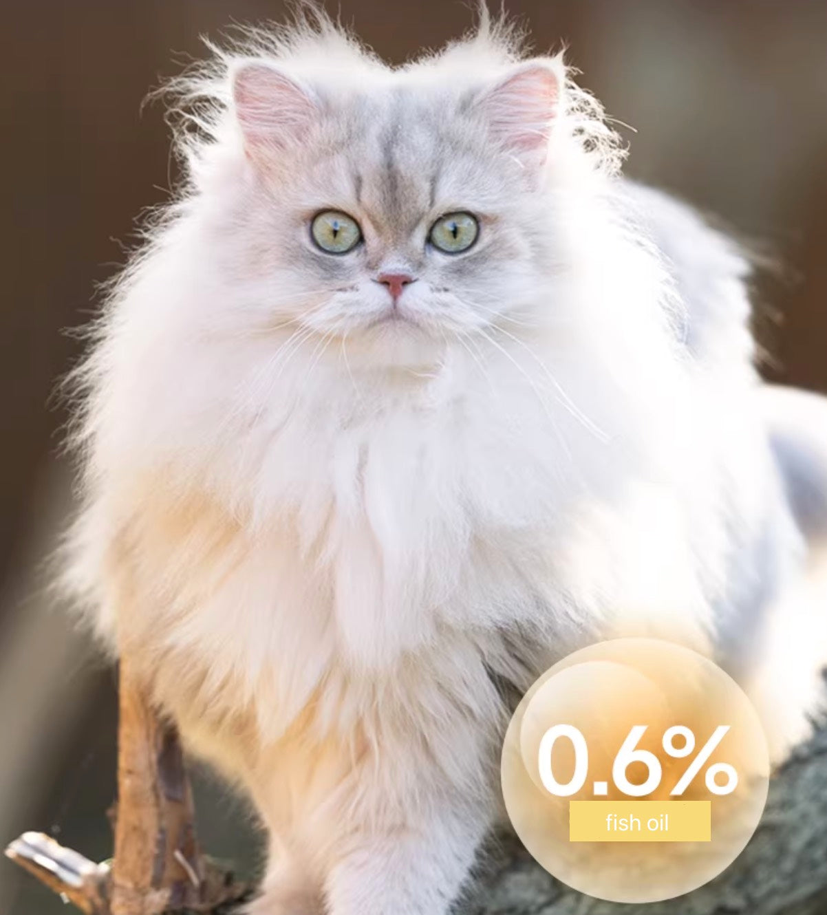 JinGu Little White Bag Main Food Freeze-Dried Raw Meat Cat-Specific 285g