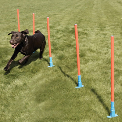 Rosewood Agility Slalom