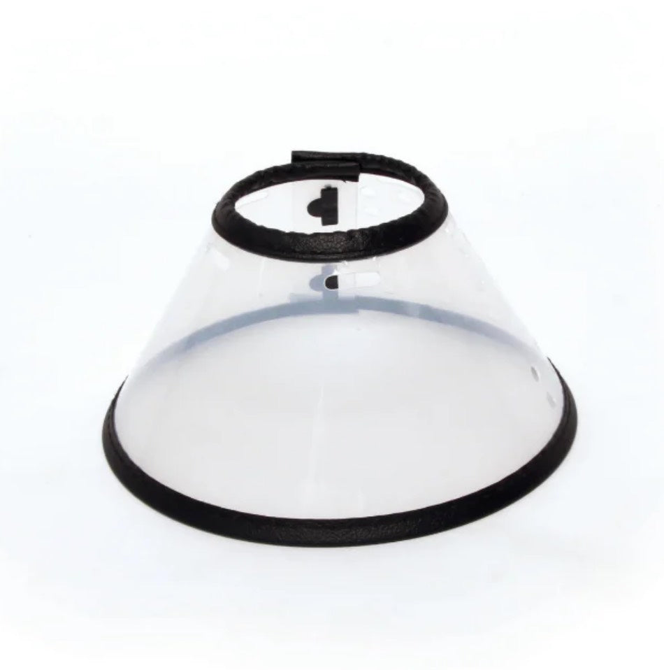 M-PETS BASTION Protective Pet Collar - ChokyoPetStore