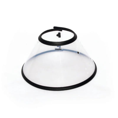 M-PETS BASTION Protective Pet Collar - ChokyoPetStore