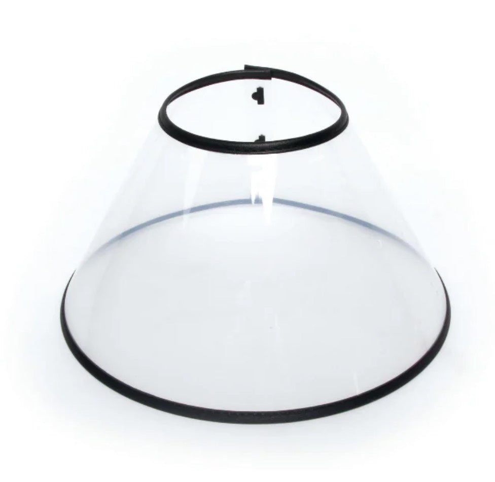 M-PETS BASTION Protective Pet Collar - ChokyoPetStore