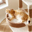 Ona's Cottage Multi-Tier Cat Tree with Cat Scratching Posts