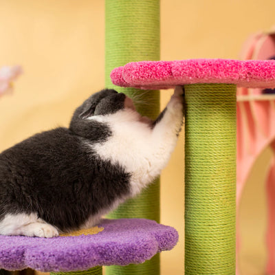 Camily "Butterfly" Climbing Cat Tree