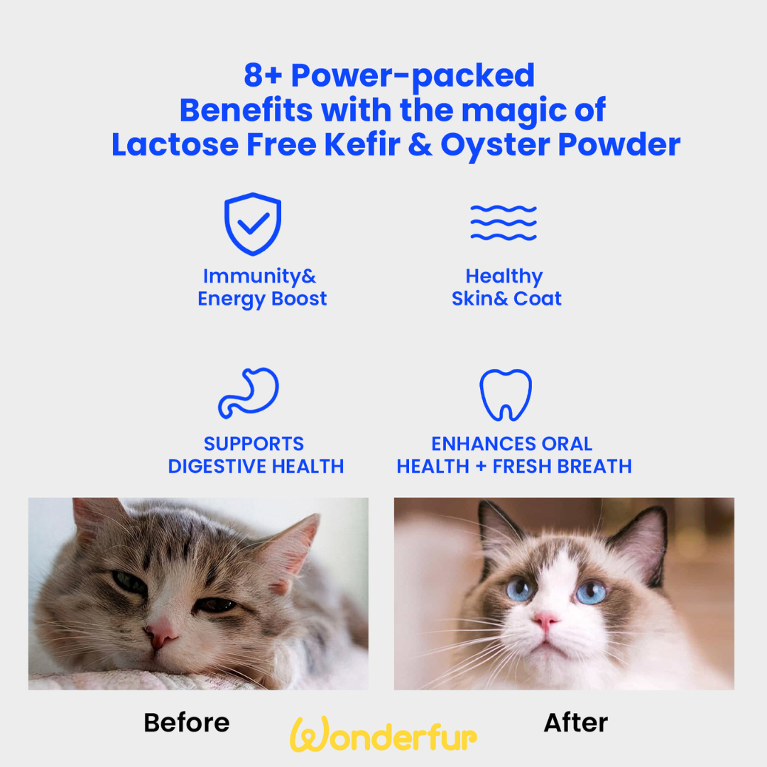 Wonderfur Bites Immune Booster for Cats 50g