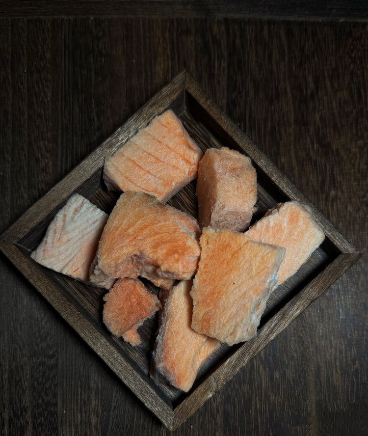Freeze Dried Salmon 50g