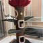 Camily "Sunflower" Climbing Cat Tree