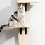 MewooFun Hanging Cat Tree