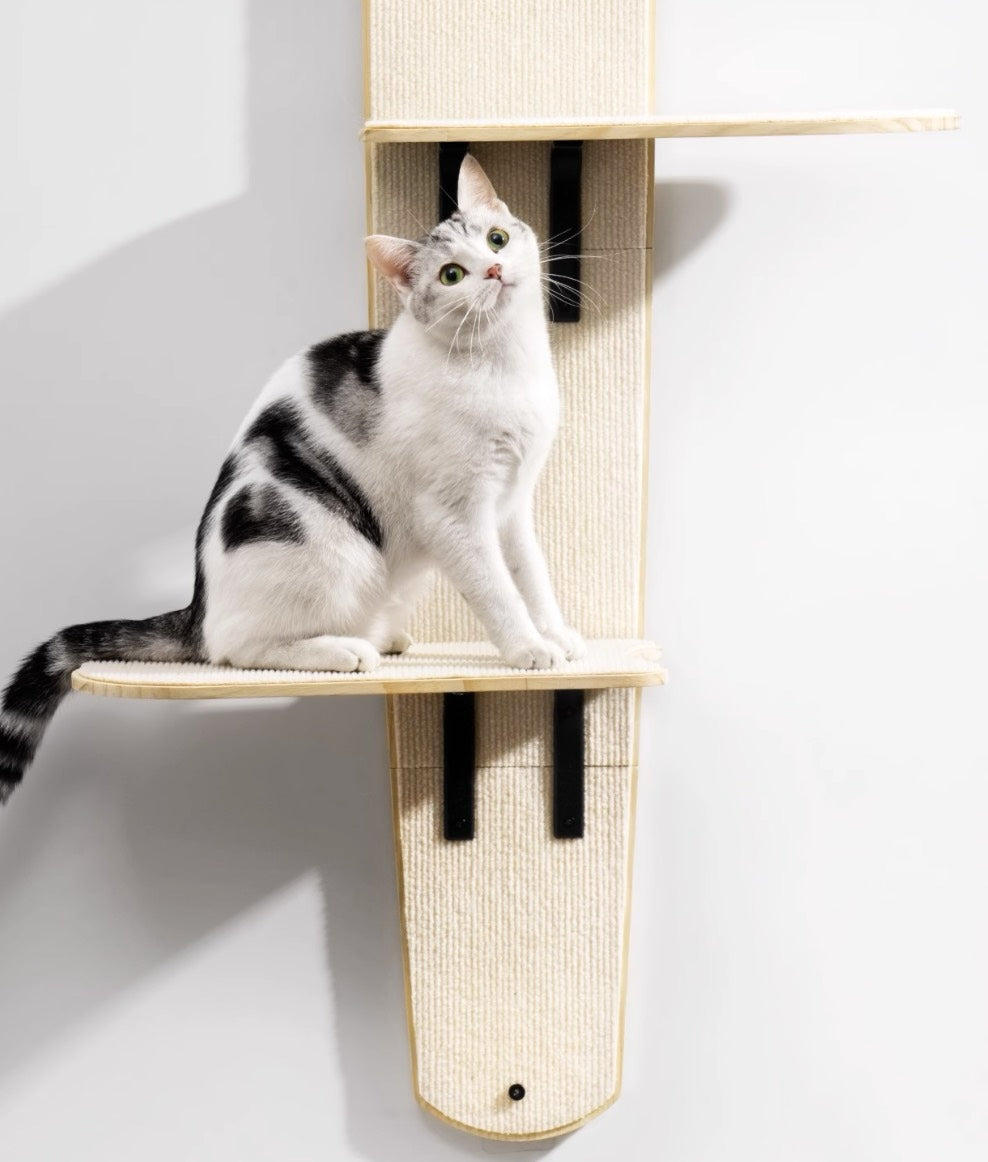 MewooFun Hanging Cat Tree