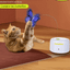 AFP Cat Toy Rotating Butterfly Automatic Teasing Stick Electric Intelligent Toy - ChokyoPetStore