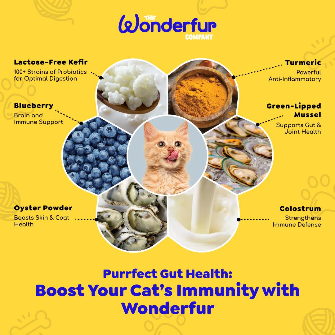 Wonderfur Bites Immune Booster for Cats 50g