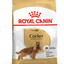 Royal Canin Cocker Spaniel Adult Dog Food