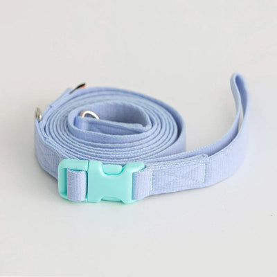 Bite Me Candy Crayon Leash
