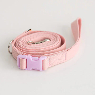 Bite Me Candy Crayon Leash