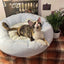Soft Plush Dog Bed with Bow Pillow | Cozy Round Puppy & Cat Bed | Anti-Anxiety Snuggle Nest for Small Pets