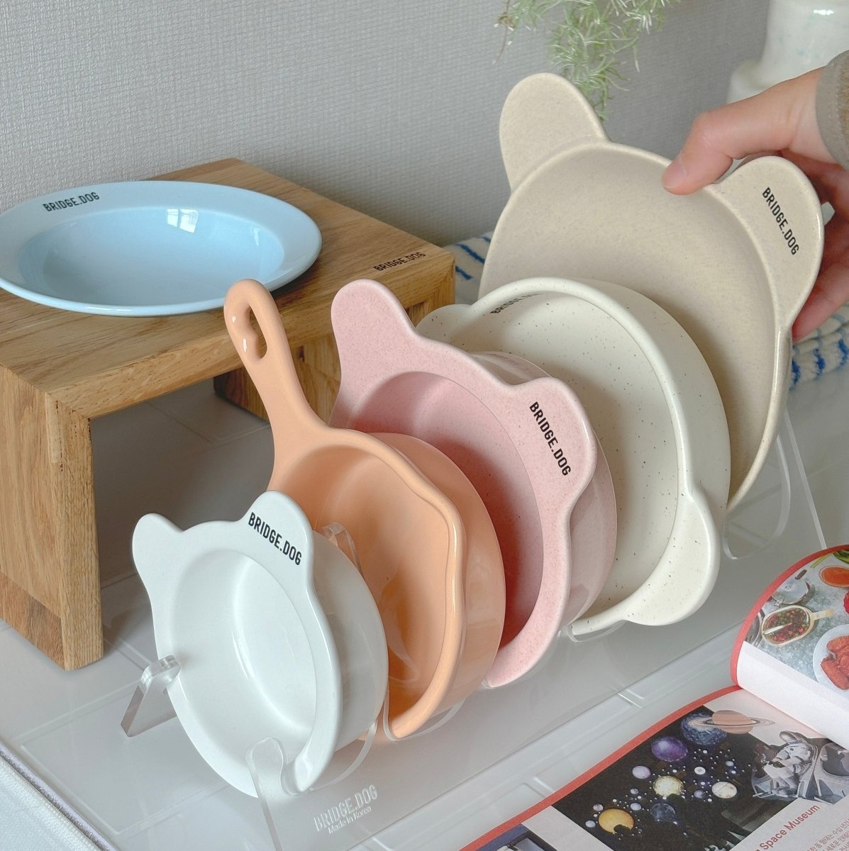 BRIDGE.DOG Mini Dish - Chokyo Pet