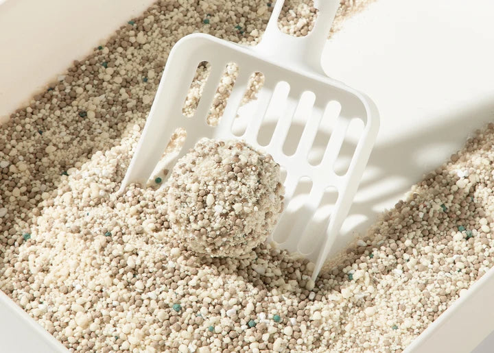 Petshy Coconut Tofu Mixed Bentonite Cat Litter 2kg