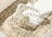 Petshy Coconut Tofu Mixed Bentonite Cat Litter 2kg