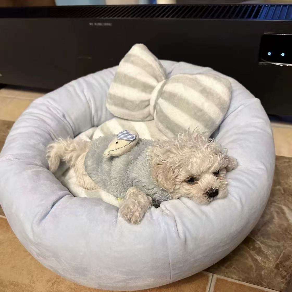 Soft Plush Dog Bed with Bow Pillow | Cozy Round Puppy & Cat Bed | Anti-Anxiety Snuggle Nest for Small Pets - ChokyoPetStore