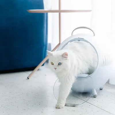 Space Capsule Cat Carrier (Oxygen Blue)