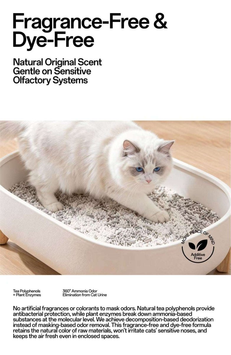 FluffyMW Cassava & Black Tea Tofu Blend Cat Litter 2.5kg - Chokyo Pet