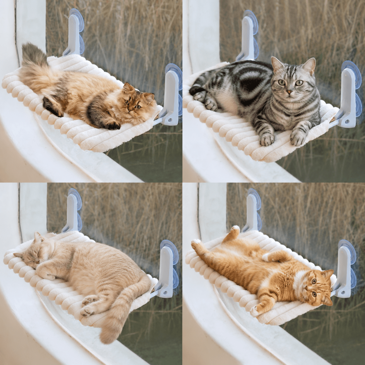 Foldable Bed Perch For Cats - Chokyo Pet