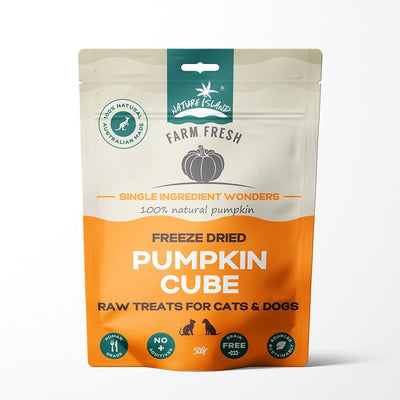 Freeze Dried Pumpkin Cube treats 50g for Pets - Chokyo Pet