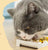 Hell's Kitchen Original Cut Egg Yolk Freeze-Dried Granules 100g Cat and Dog Puppy Snack Nutritious Lecithin - Chokyo Pet
