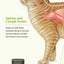 heyLove Herbal Cat Detox 250ml