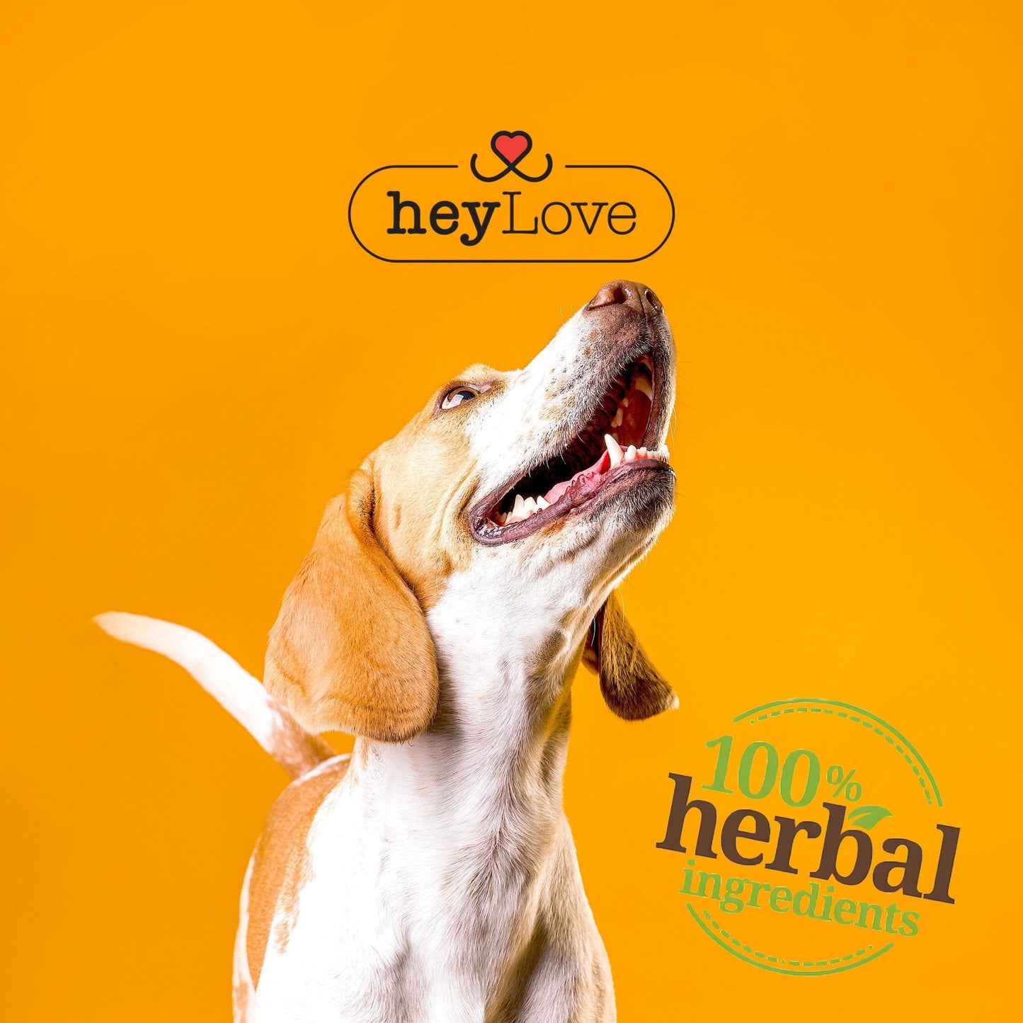 heyLove Herbal Dog Detox 480ml