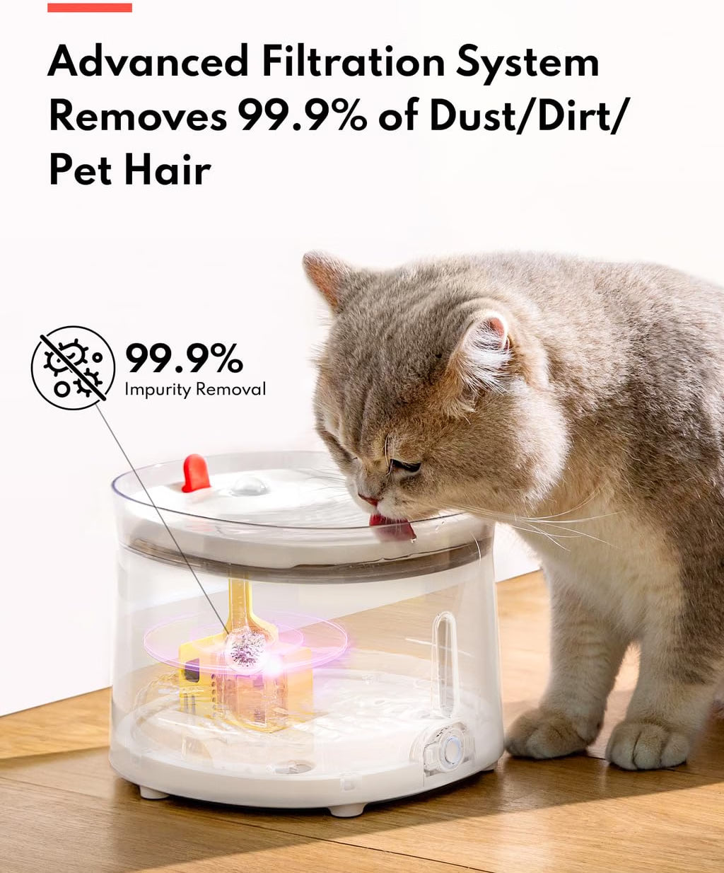 Homerunpet CF20 Wired Pet Water Fountain with UVC Sterilisation 2L