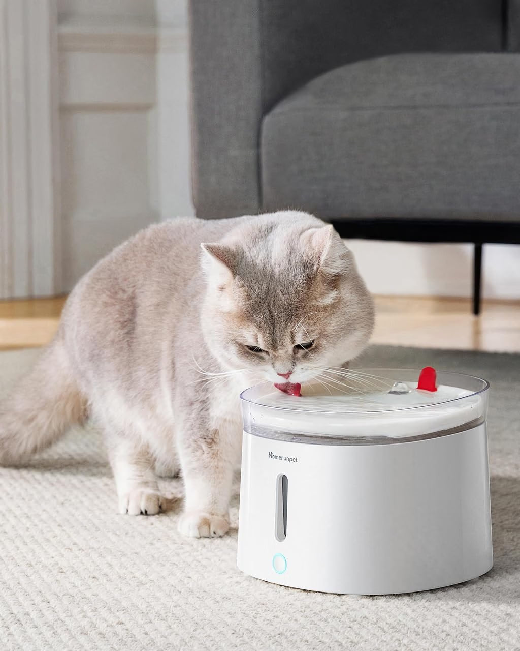 Homerunpet CF20 Wired Pet Water Fountain with UVC Sterilisation 2L