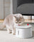 Homerunpet CF20 Wired Pet Water Fountain with UVC Sterilisation 2L