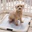 IRIS Dog Training Pad Holder Tray Pet Pee Pads Indoor Puppy Potty Training Tray Portable Traine coffee color - Chokyo Pet
