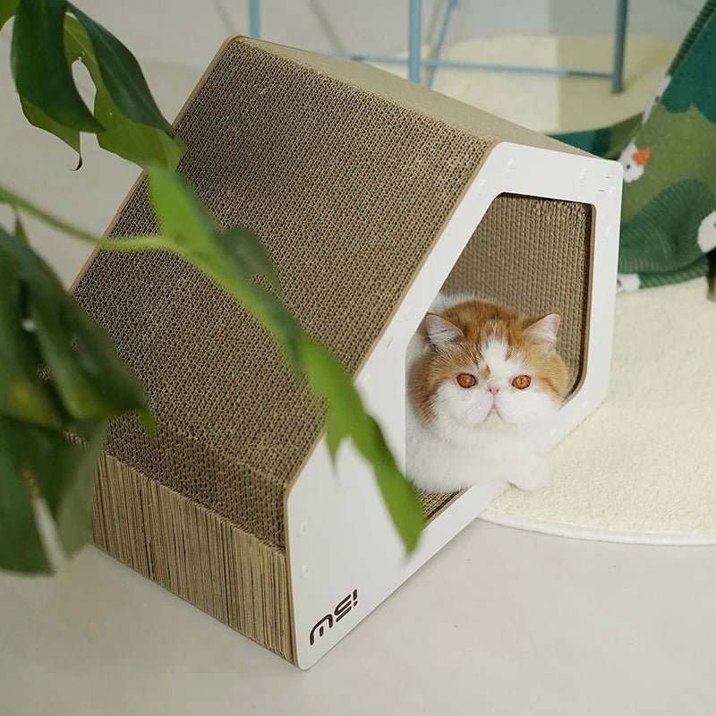 Makesure All-in-One Cat Scratching White House: Ultimate Play, Scratch & Nap - Chokyo Pet